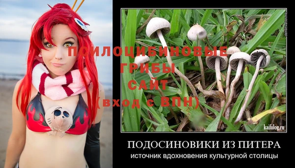 соль курить ск Богданович
