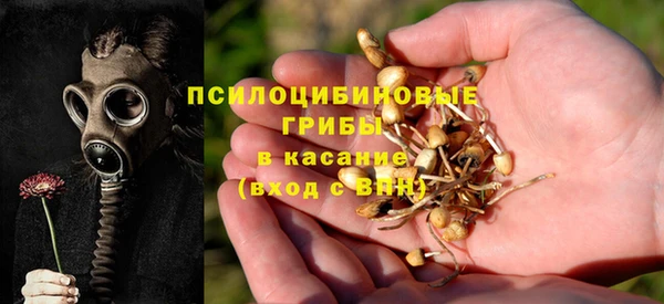 соль курить ск Богданович