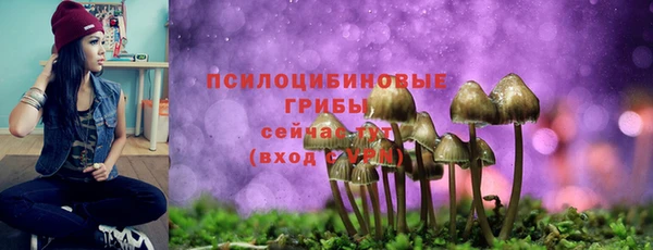ПСИЛОЦИБИНОВЫЕ ГРИБЫ Богородицк