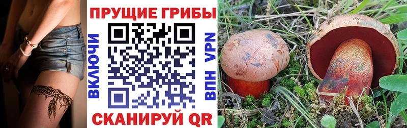 Псилоцибиновые грибы прущие грибы  Пестово 